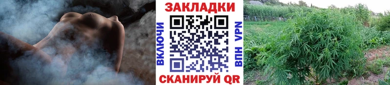Где продают наркотики Нижняя Тура ГАШ  Alpha-PVP  Псилоцибиновые грибы  ТГК  Меф мяу мяу  Канабис 