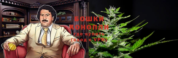 амф Белоозёрский