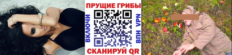 Галлюциногенные грибы Psilocybine cubensis Нижняя Тура