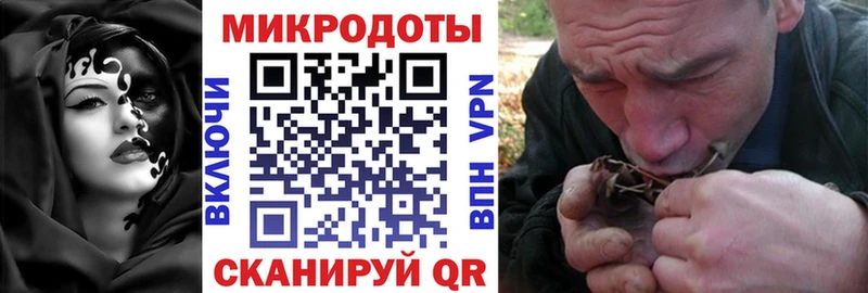 Псилоцибиновые грибы прущие грибы  Нижняя Тура 